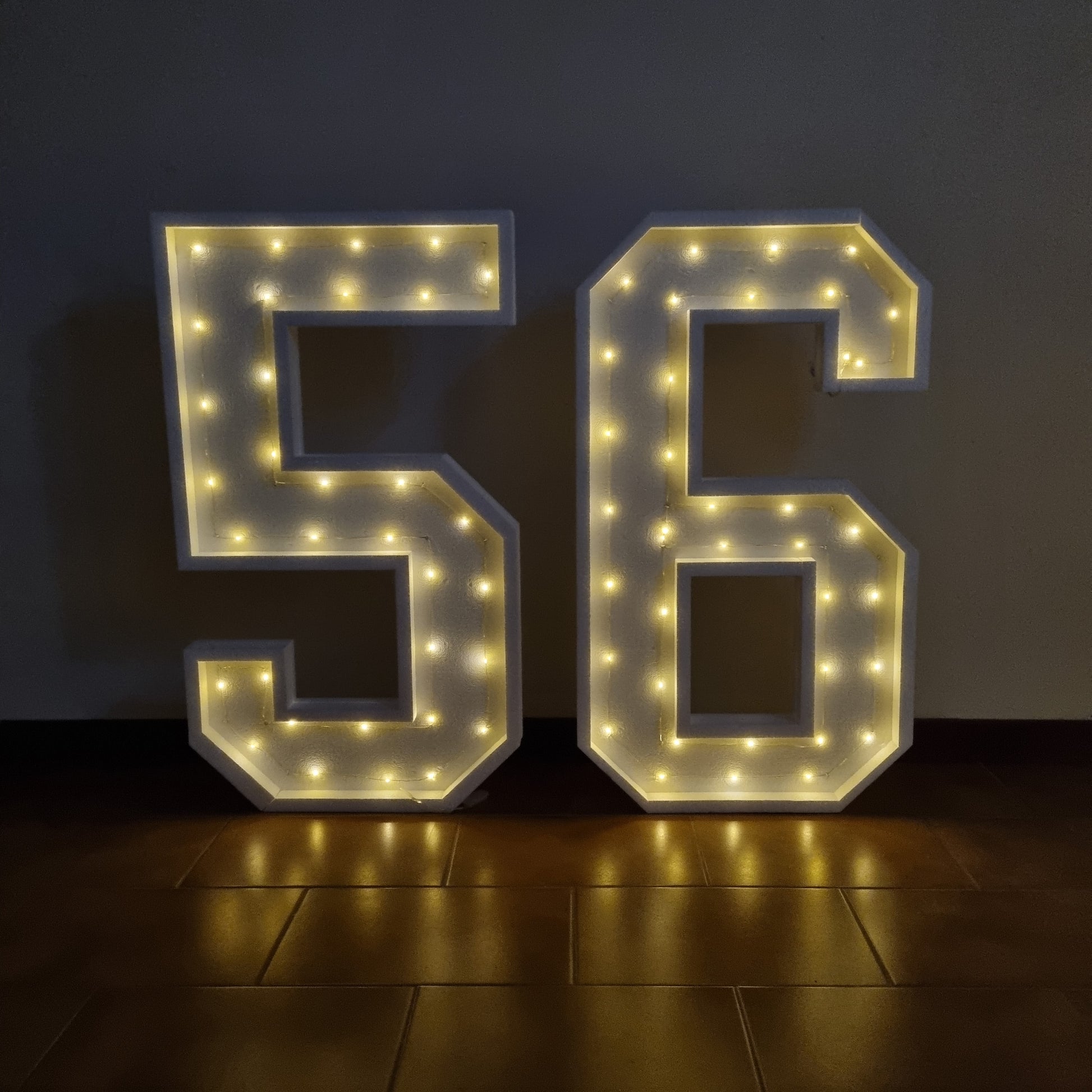 Numero 56 Luminoso Grande