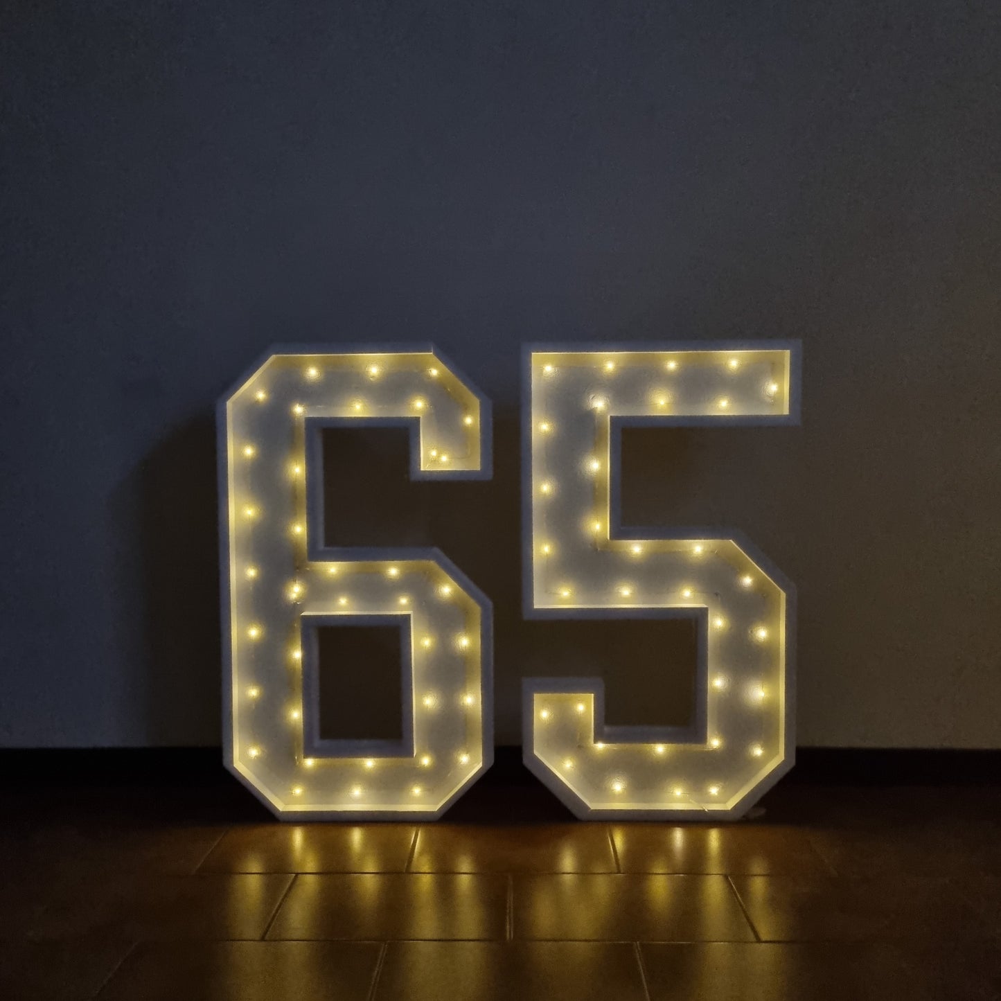 Numero 65 Luminoso Grande