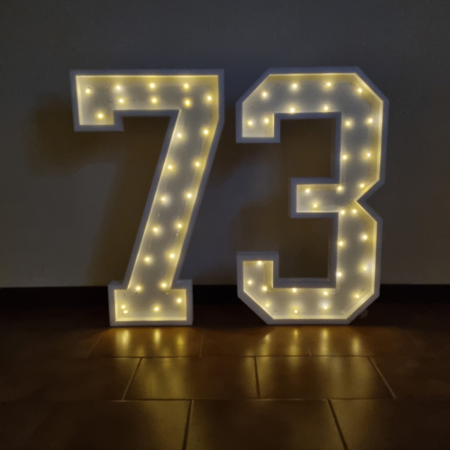 Numero 73 Luminoso Grande