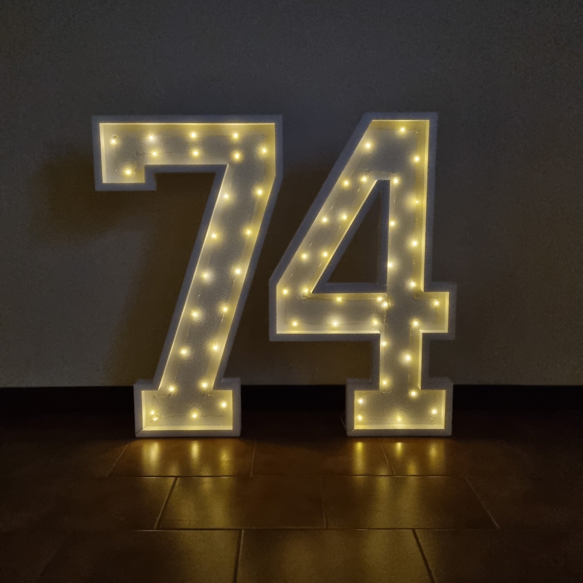 Numero 74 Luminoso Grande