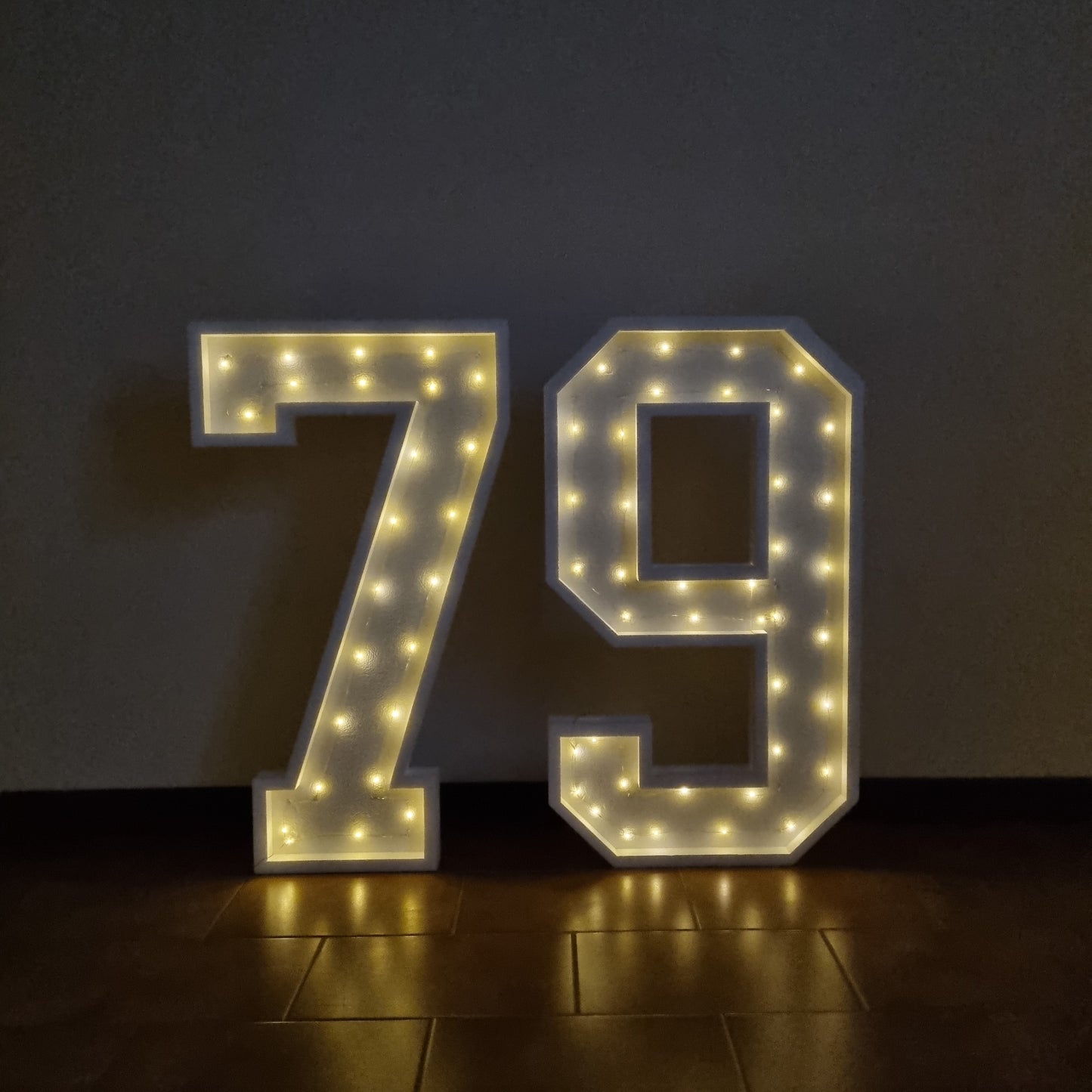 Numero 79 Luminoso Grande