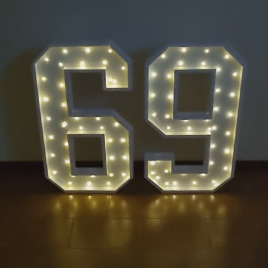 Numero 69 Luminoso Grande