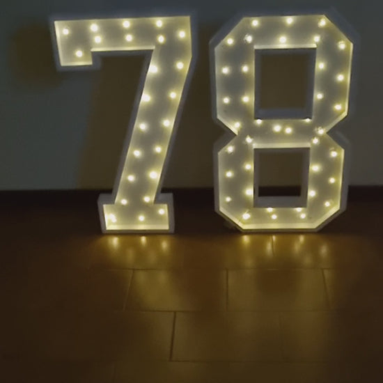 Numero 78 Luminoso Grande