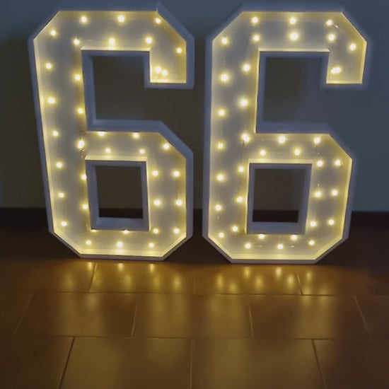 Numero 66 Luminoso Grande