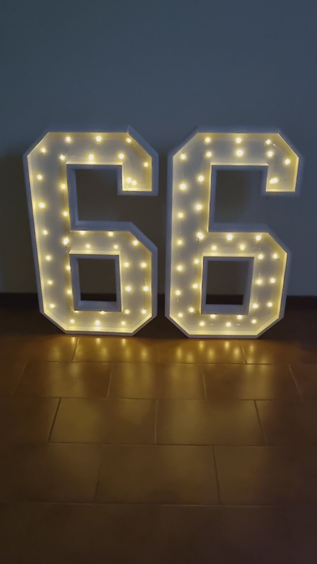 Numero 66 Luminoso Grande