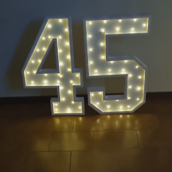 Numero 45 Luminoso Grande