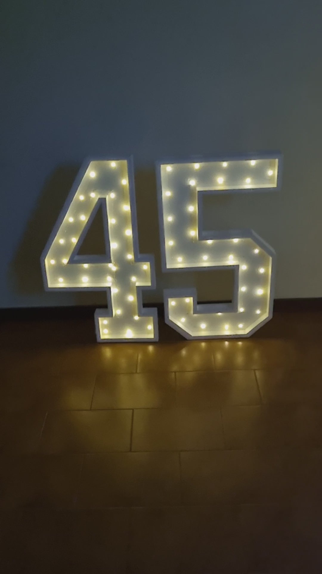 Numero 45 Luminoso Grande