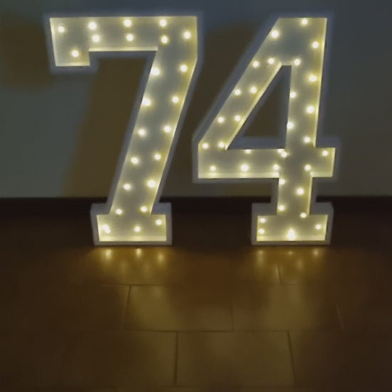 Numero 74 Luminoso Grande