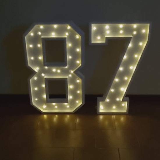 Numero 87 Luminoso Grande