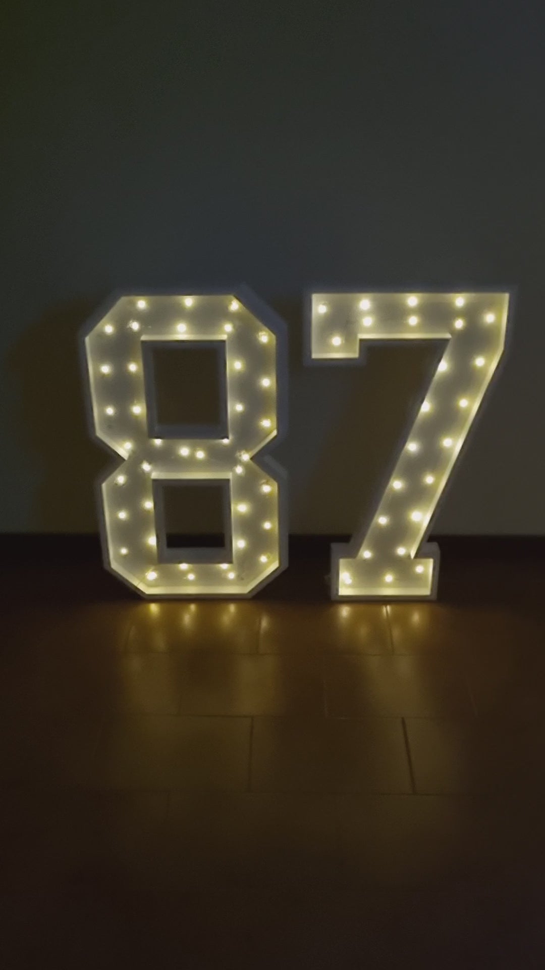 Numero 87 Luminoso Grande