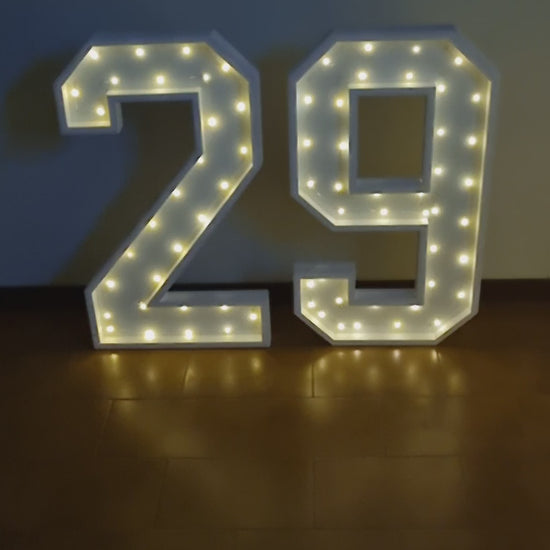 Numero 29 Luminoso Grande