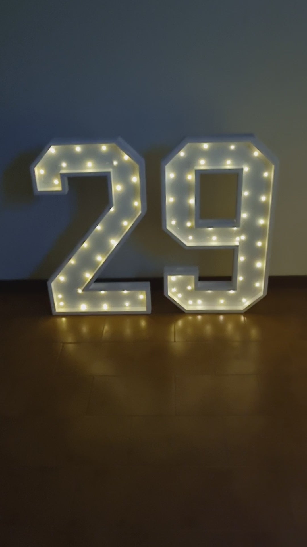 Numero 29 Luminoso Grande