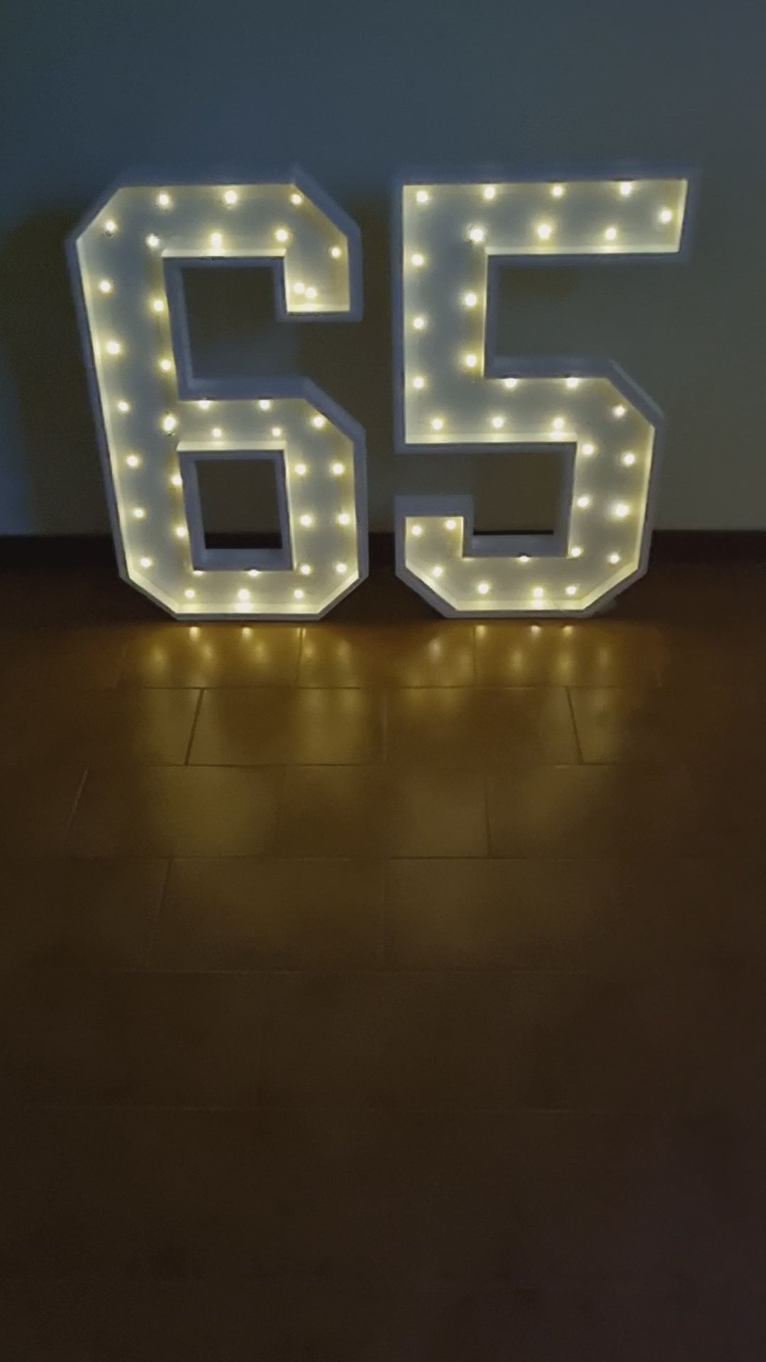 Numero 65 Luminoso Grande