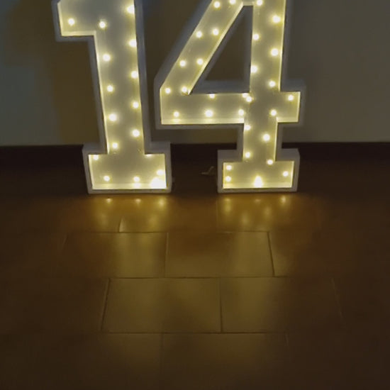 Numero 14 Luminoso Grande