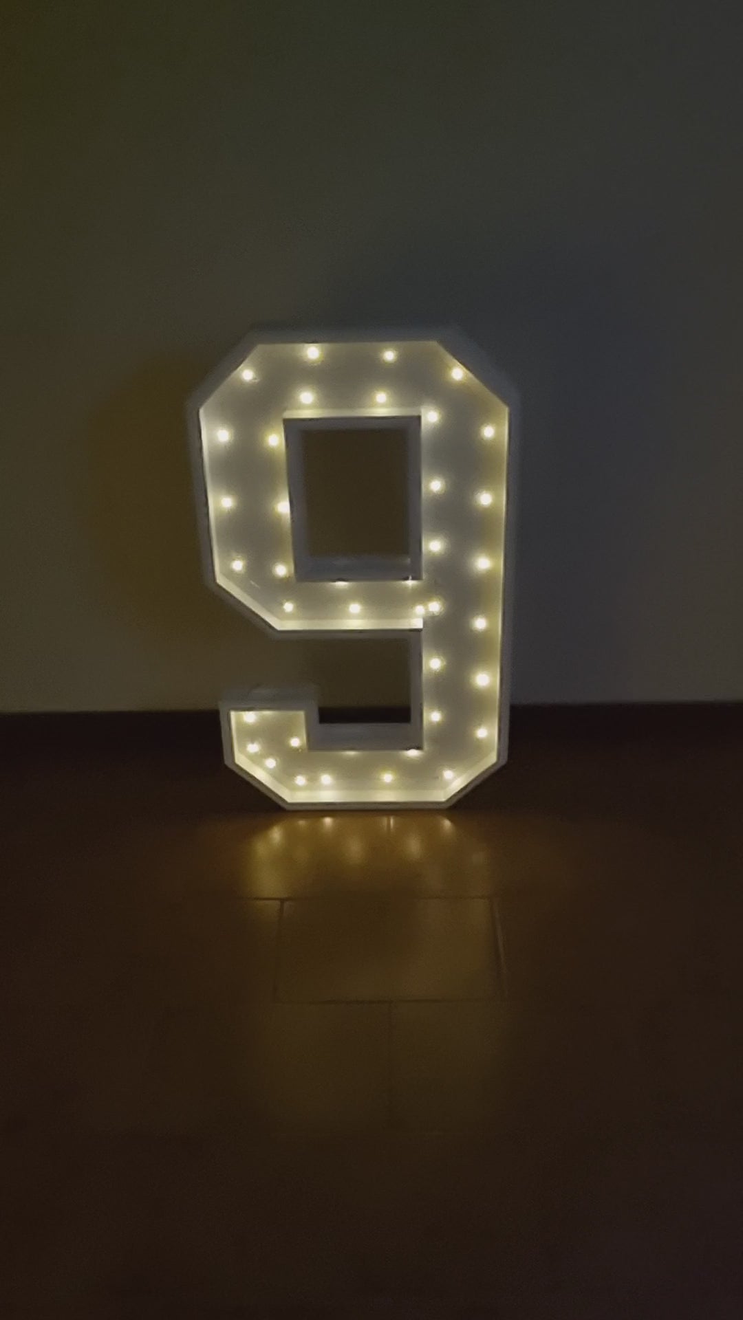 Numero 9 Luminoso Grande