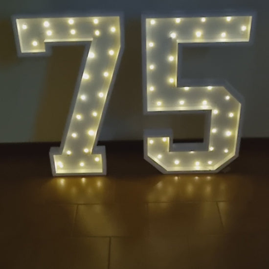 Numero 75 Luminoso Grande