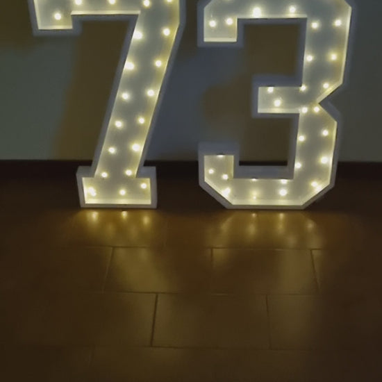 Numero 73 Luminoso Grande