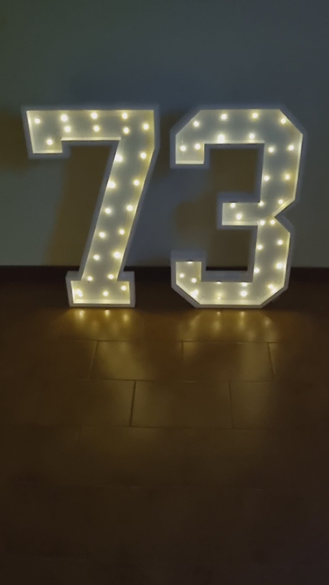 Numero 73 Luminoso Grande