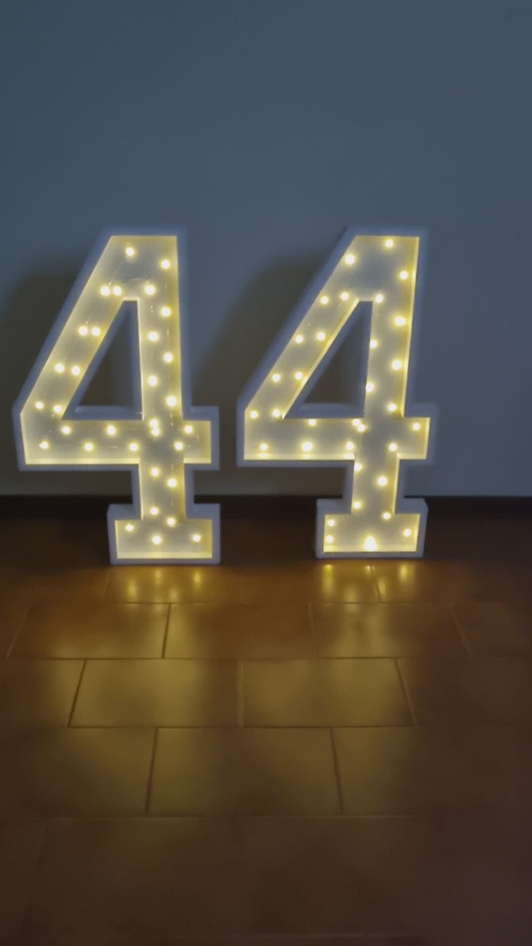 Numero 44 Luminoso Grande