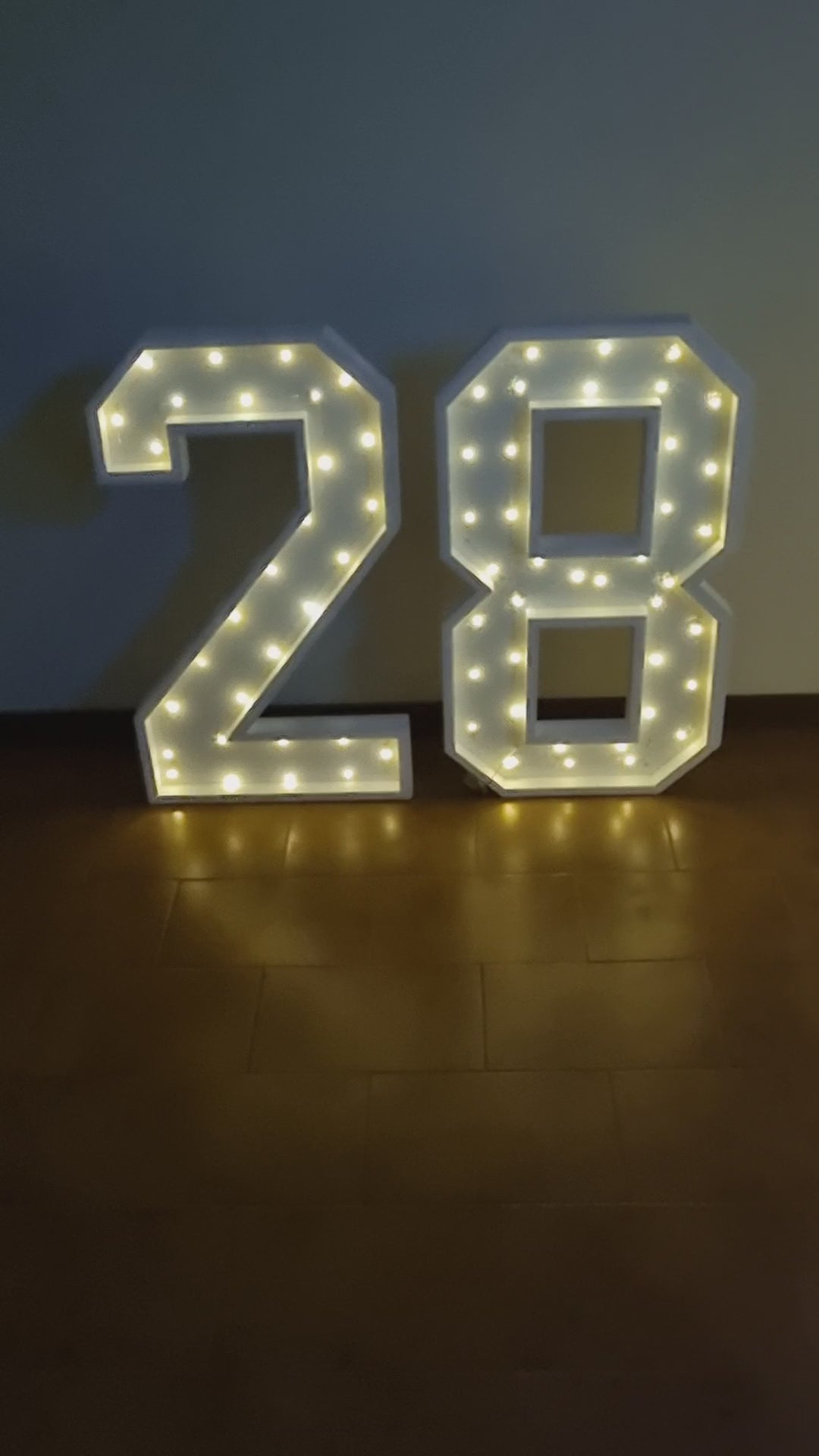 Numero 28 Luminoso Grande