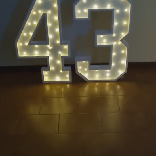 Numero 43 Luminoso Grande