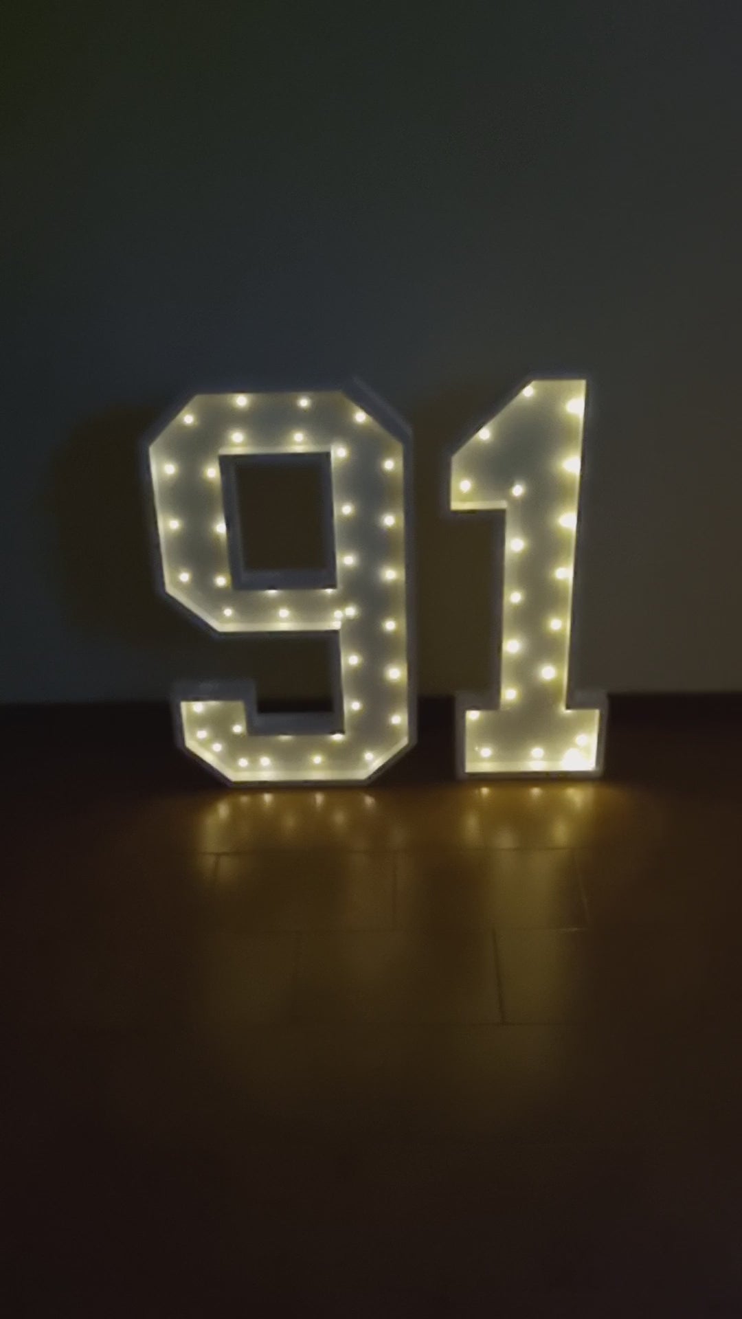 Numero 91 Luminoso Grande