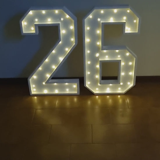 Numero 26 Luminoso Grande