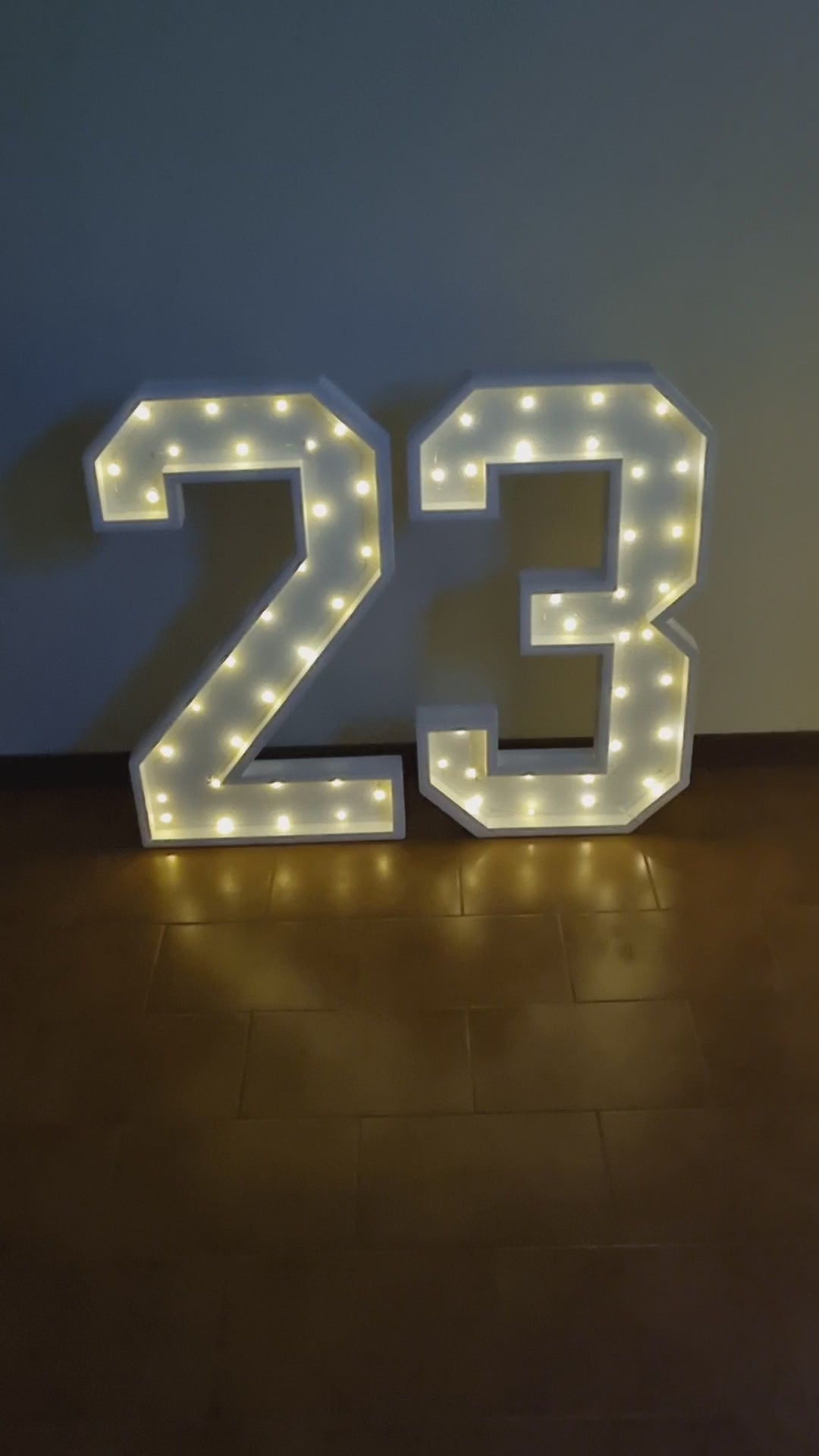 Numero 23 Luminoso Grande