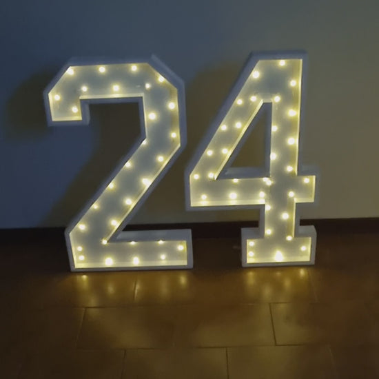 Numero 24 Luminoso Grande