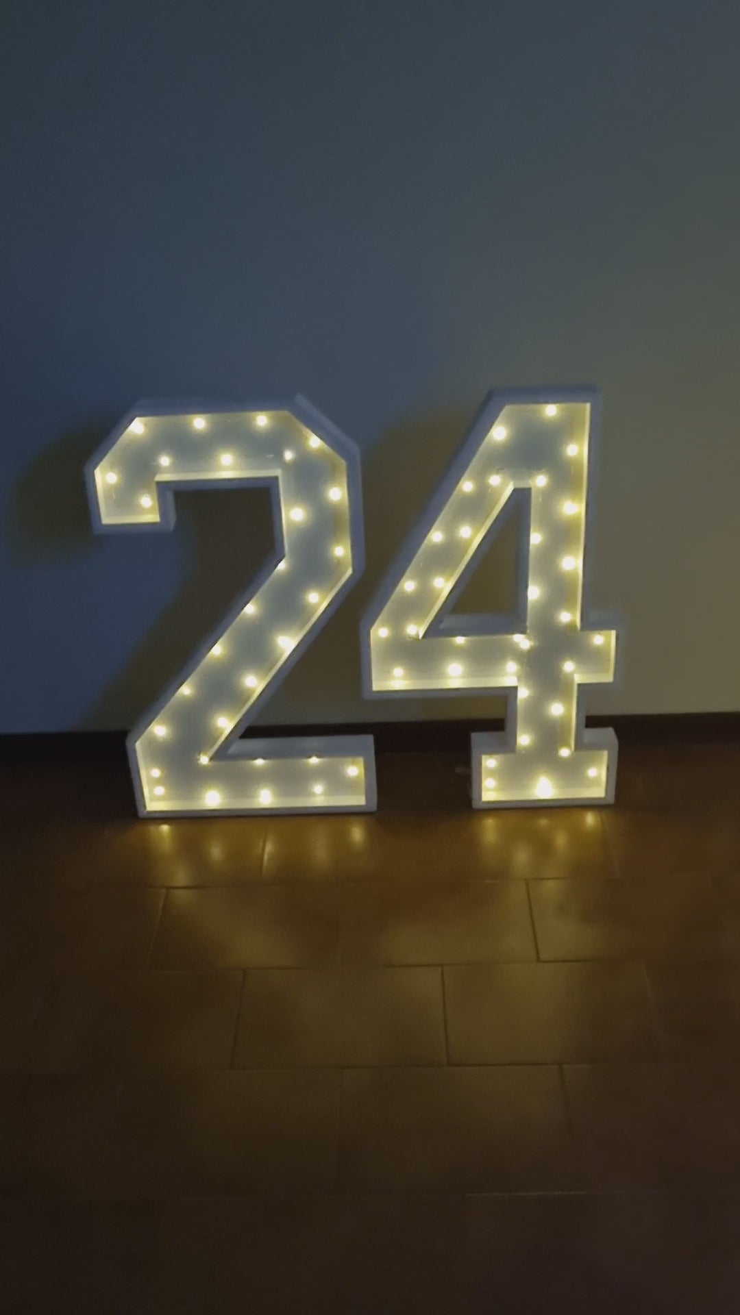 Numero 24 Luminoso Grande