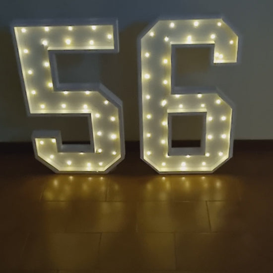 Numero 56 Luminoso Grande