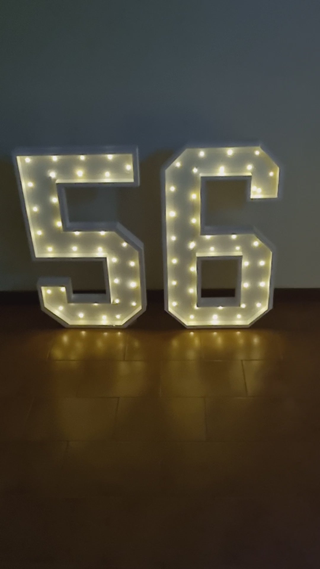 Numero 56 Luminoso Grande