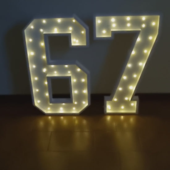 Numero 67 Luminoso Grande