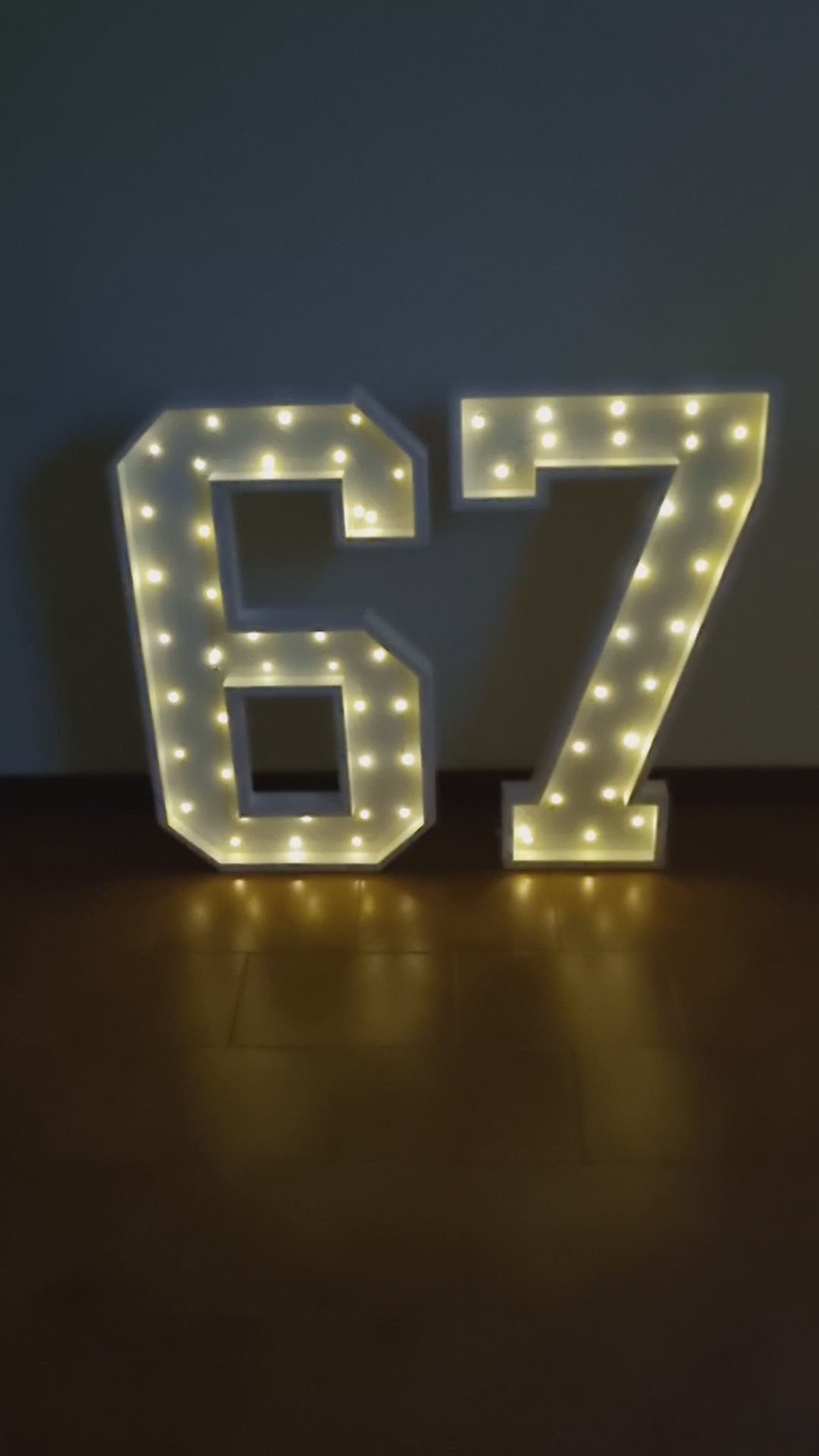 Numero 67 Luminoso Grande