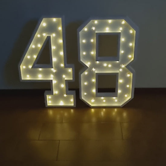 Numero 48 Luminoso Grande