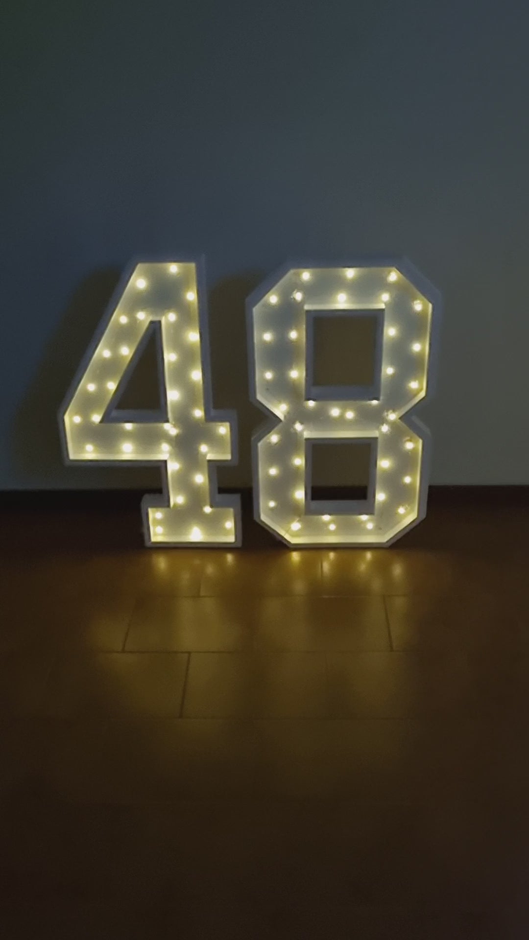 Numero 48 Luminoso Grande