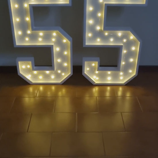 Numero 55 Luminoso Grande