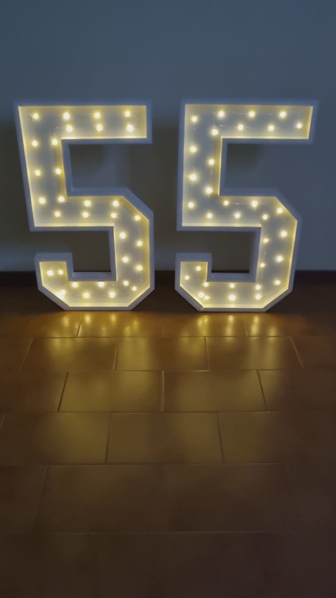 Numero 55 Luminoso Grande