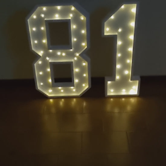 Numero 81 Luminoso Grande