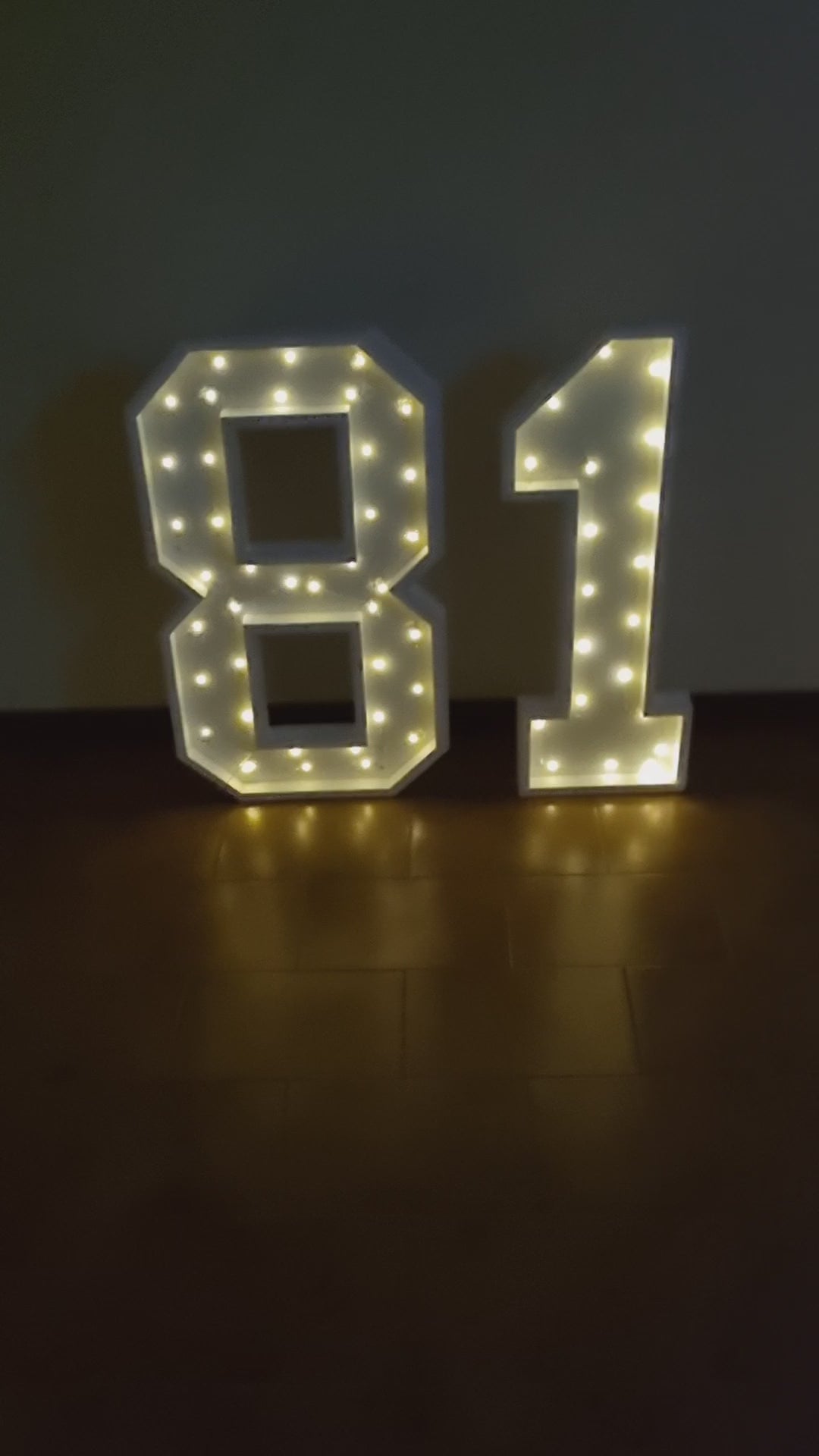 Numero 81 Luminoso Grande