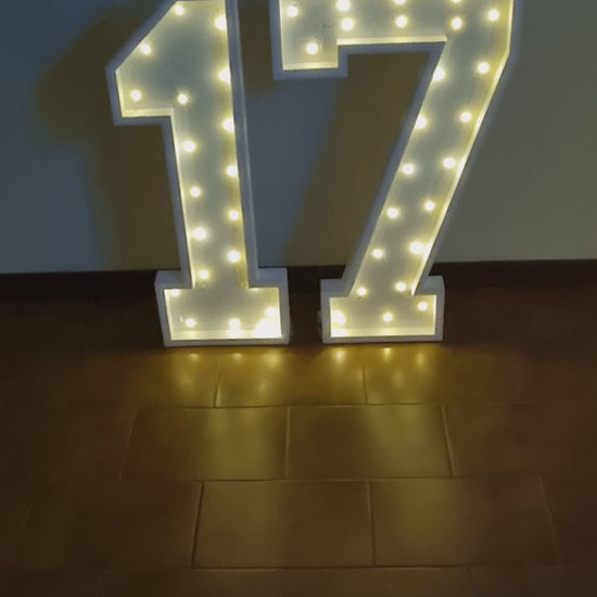 Numero 17 Luminoso Grande