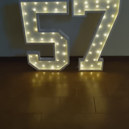 Numero 57 Luminoso Grande