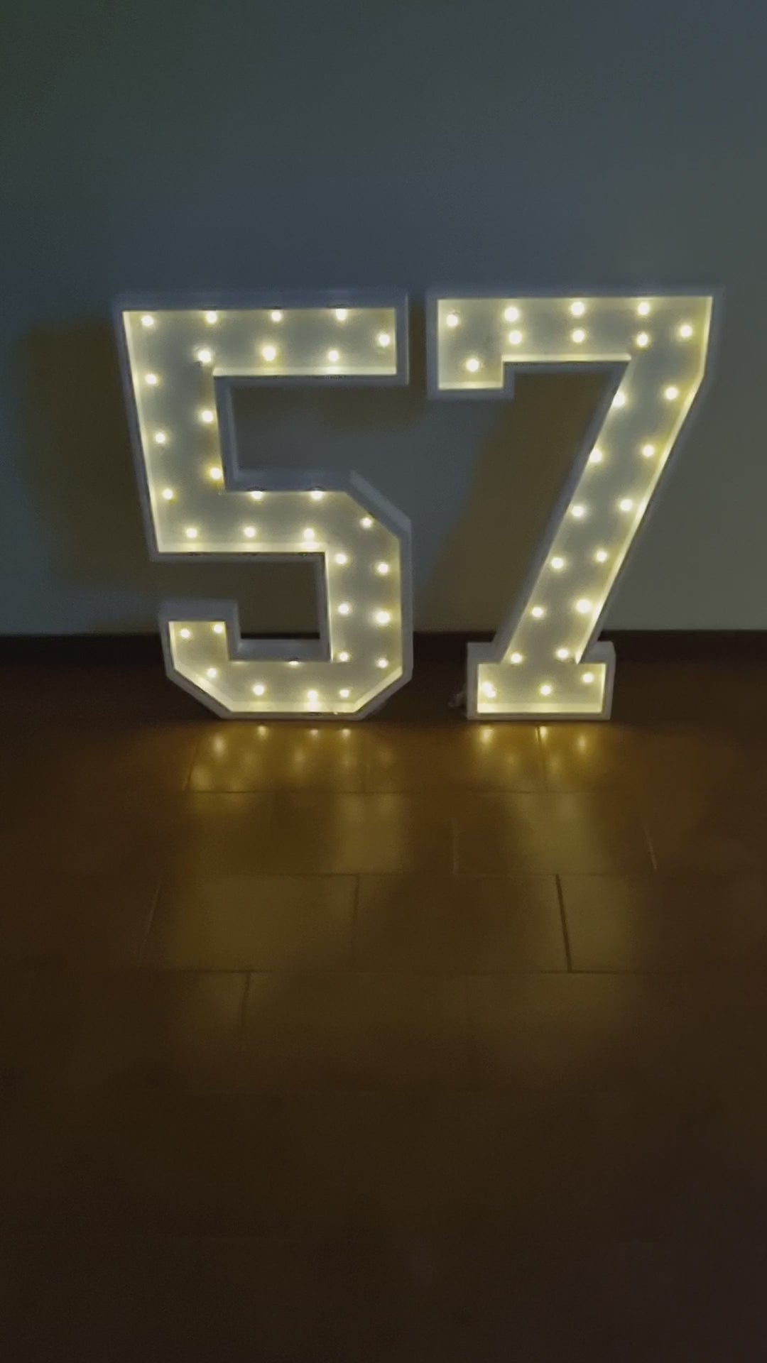 Numero 57 Luminoso Grande