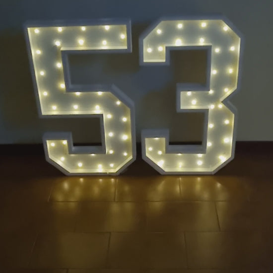 Numero 53 Luminoso Grande