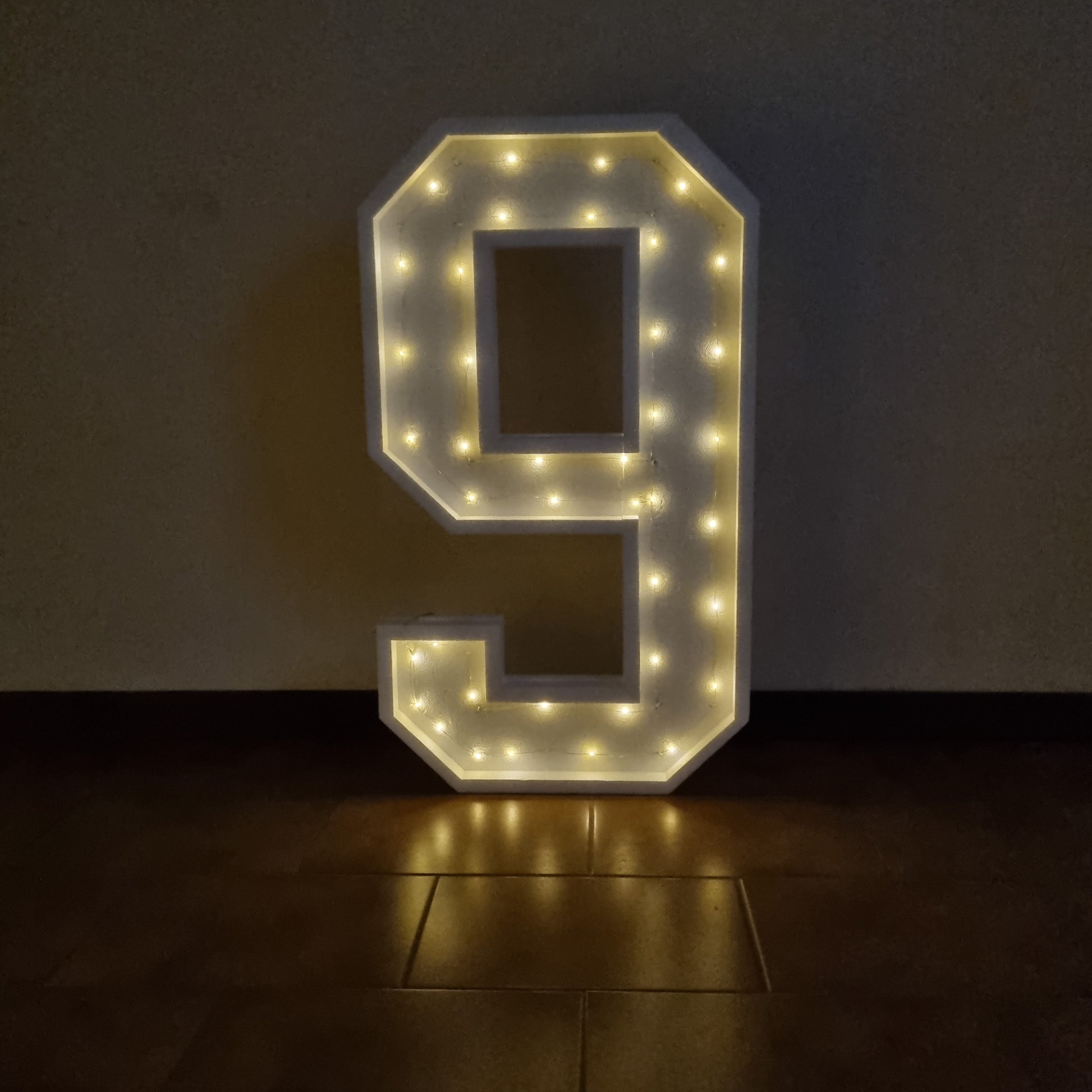 Numero 9 Luminoso Grande